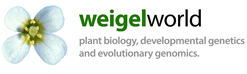 WeigelWorld